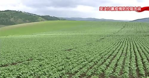 構筑特色農業新優勢，以產業發展促鄉村振興