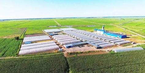 扶余 產業強、農民富，繪就千里沃野新圖景